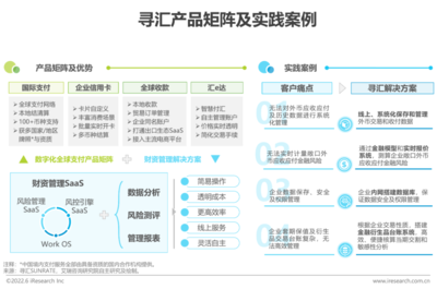 2022年中国跨境电商SaaS行业风险管理咨询研究报告