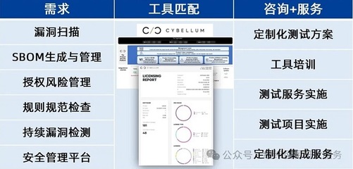 基于信息安全的软件测试工具链解决方案与风险管理咨询服务